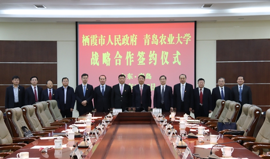 青岛农大与栖霞市人民政府签署战略合作框架协议