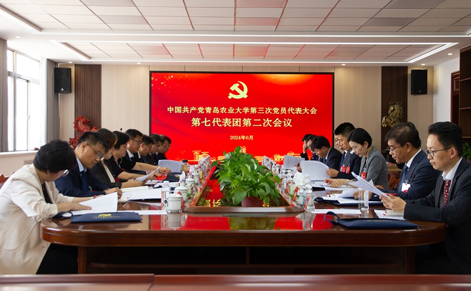 第三次党代会各代表团认真审议“两委”工作报告_要闻_新闻网_