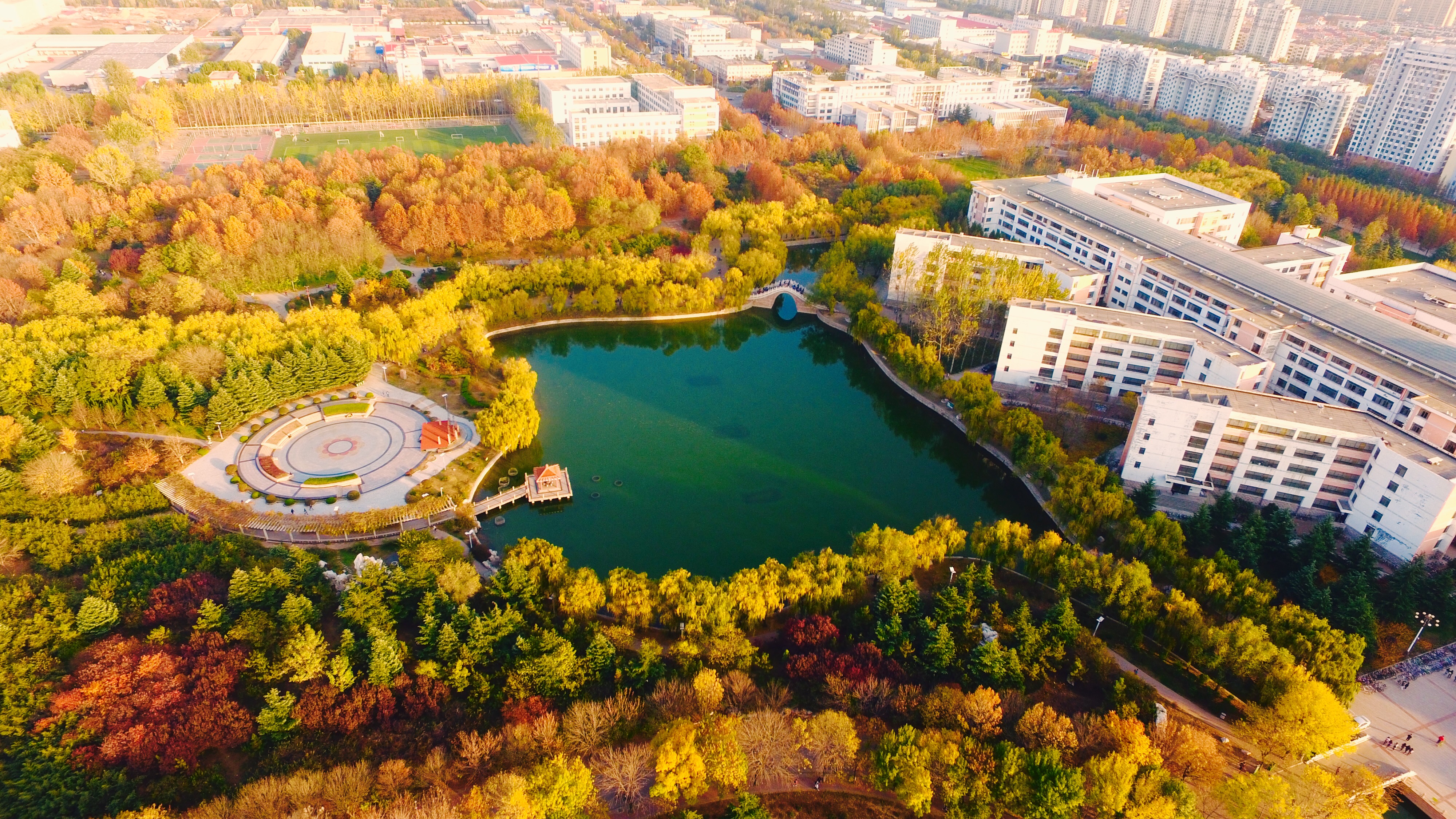 中国人民大学校园风景（2019）|人民大学|校园|风景_新浪新闻